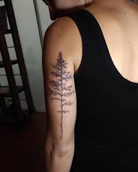 Simple And Easy Pine Tree Tattoo Designs Meanings 2019 Page 9 Of 60 Designs Ea Tattoos For Women Half Sleeve Tree Tattoo Designs Half Sleeve Tattoo