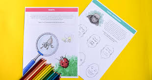 My children both love to draw so i thought it might be fun to design some cute animal drawing prompts for kids. Animal Drawing Ideas Adventure In A Box