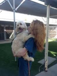 Vca animal emergency hospital southeast calder road. Pet Resort Coffee Road Animal Hospital