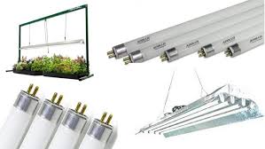 Bigger cfl grow lights were later specially designed for indoor grows, and can be used with great success. 7 Best T5 Fluorescent Grow Lights 2020 Heavy Com