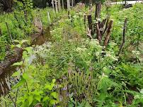 Innovative Strategies to Restore Degraded Riparian Forested Buffers