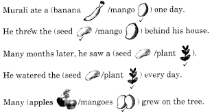 Ncert Solutions For Class 1 English Chapter 13 Murali S Mango Tree Learn Cbse