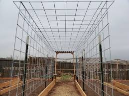 Maybe I Am Over Thinking A Cattle Panel Gazebo Trellis Design A Variation On This Might Work For Me Gartenspaliere Erhohte Beete Garten