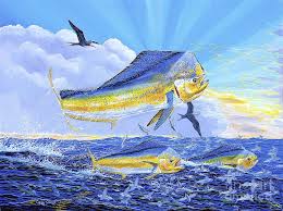 Carey Chen Painting Dorado Sunrise Off0098 By Carey Chen Sea Life Art Caribbean Art Art