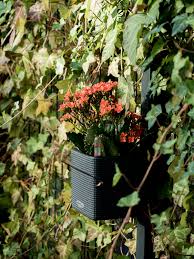 Mein garten macht mir sowieso kopfzerbrechen, weil sich weder meine ligusterhecke noch meine hortensien so kann man da tatsächlich was schönes im kasten auf dem balkon überwintern?? 5 Einfache Tipps Fur Herbstfeeling Im Garten Auf Dem Balkon Der Terrasse Scones Berries