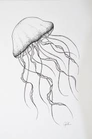 Jellyfish Drawing Sea Life Illustration Nursery Wall Decoration Coastal Beach Decor Nautical Decor Ocean Artwork Beach Style Decor Ocean Artwork Jellyfish Art Jellyfish Drawing