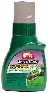 Oxalis Lawns Ortho