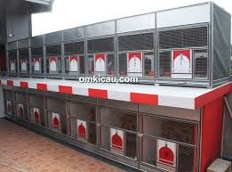 Maybe you would like to learn more about one of these? Kandang Minimalis Murai Laku Keras Ja Luncurkan Kandang Merpati Model Terbaru Om Kicau
