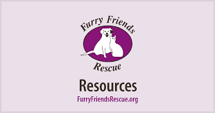 We are not operated or funded by any national animal group and must rely. Resources Furry Friends Rescue Dog Cats Adoption Fostering In San Francisco Bay Area