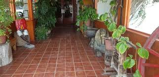 Cas confirmés, mortalité, guérisons, toutes les statistiques Rico Y Rapida Atencion Vinimos En Familia A Celebrar El Dia De La Mama Muy Buena Y Rapida Aten Picture Of Los Buenos Muchachos De Buin Tripadvisor