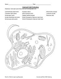 We did not find results for: Plant And Animal Cell Coloring Worksheets Teaching Resources Tpt