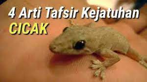 Arti Kejatuhan Cicak Prediksi Terkena Cicak Youtube