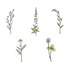 Small Wildflowers More Tattooinspiration Click To See More Tattoos Wildflower Tattoo Body Art Tattoos