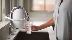 Espring Quick Facts Amway Of South Africa