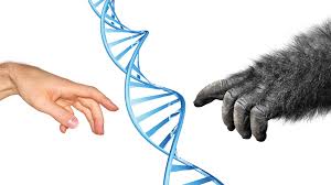 The Godfather of Intelligent Design