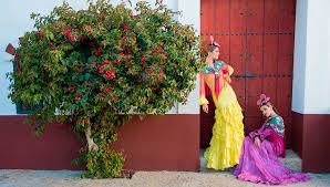 Alquiler de salas de reuniones por horas en sevilla, alquiler de espacios para eventos, aulas de formación y locales par fiestas en sevilla. Alquiler De Vestido En Sevilla Beflamenca
