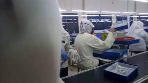 One day interview langsung kerja. Pt Youngjin Indonesia 2k19 Youtube