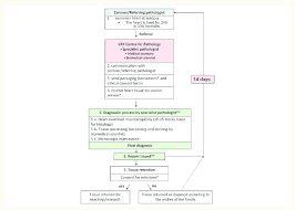 Flow Chart Showing The Cardiac Referral Procedure At Cry Ccp