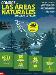 10 áreas naturales protegidas turismo para salvar al planeta. Conoce Que Son Y Cuantas Areas Naturales Protegidas Existen En Mexico Infografiantx Area Natural Protegida Historia De Mexico Diarios De Viaje
