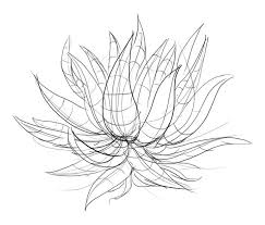 Lesson 3 Drawing Plants Plant Drawing Vine Drawing Realistic Drawings