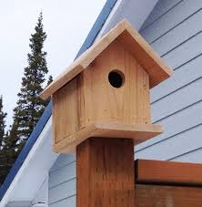Bird House Kits For Adults Build A Cedar Birdhouse For 2 Bird Houses Diy Bird House Kits Bird House Plans
