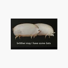 Brother May I Have Some Oats Classic Meme Art Board Print By Gorillamerch Redbubble