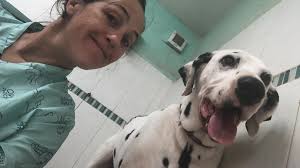 Aristomatte toeletta petshop