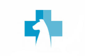 Aproximativ 15% este un complex de calciu legat de anionii organici și anorganici, 40% este de albumină, iar restul de 45. Analize De Sange Loyal Vet