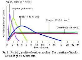 Insulin Graph Google Search