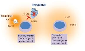 Image result for Yellow 1996 CIL
