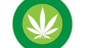 Image result for Marijuana