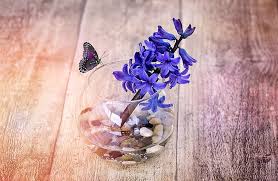Download, share or upload your own one! Fresh Hyacinth On Table Purple Hyacinth Flower Vintage Blue Flower Hd Wallpaper Wallpaperbetter