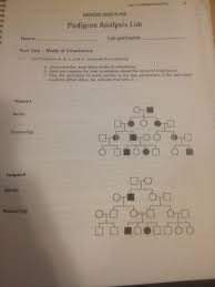 They are also used when trying to determine the predisposition of someone to carry a hereditary disease for pedigree activity. Solved Genetics Lab 4 Pedigree Analysis Part One Mode O Chegg Com