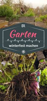 Querbeet Garten Den Winter Vorbereiten New Ideas Geranien Pflanzen Garten Winterfest Machen