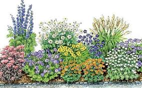 Bepflanzung Pflanzen Baum Blumen Sichtschutz Garten Mehrjahrige Pflanzen Sukkulente Wustenpflanzen Pflanz In 2020 Flowers Perennials Best Perennials Perennials