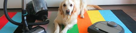 Cane si incula signora | doovi from i.ytimg.com. Miglior Aspirapolvere Per Peli Di Animali Robot Portatile O Senza Fili