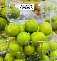 Bí kíp bảo quản trái cây hiệu quả bằng hộp nhựa trái cây P1000B Images?q=tbn:ANd9GcTqOpSLJlWXmdwyHtKWzbo3qhPCtDdLN7W-HA&usqp=CAU