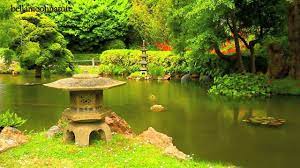 Pin By Betty Ciarolla On I Must Have Flowers Always Always And Always Monet Tea Garden Japanese Tea Garden Golden Gate Park San Francisco