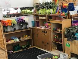 Habitat materials can be placed in a divided tray. Purposeful Play Book Study Section 1 All About Play In Preschool And Kindergarten