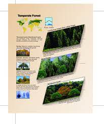 Ecology Environment In 2021 Environmental Impact Assessment Ecology Forest Resources