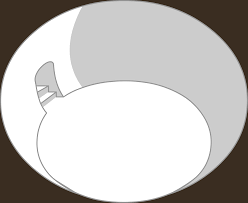Bugsbunny21—redeem for 1000 coins, yellow bunny ears (new). Classic Igloo Club Penguin Rewritten Wiki Fandom