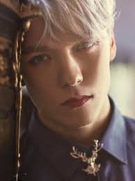 The group consists of 13 members: Vernon Seventeen Kpecs