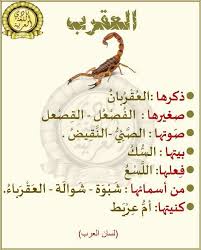 العقرب Words Arabic Font Arabic Words