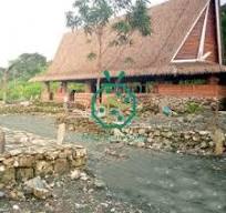 Tropical sunshade thatched roof wholesale,Tropical sunshade ...