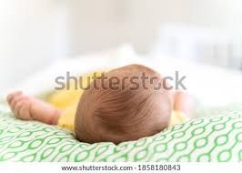 You simply can't care for a baby bird without knowing what kind of bird it is and unless you find out immediately i'm afraid that the baby bird is doomed to an unpleasant death and it is likely your child will feel then feel guilt ,a sense of failure and distress. Bird Hair Stock Photos And Images Avopix Com