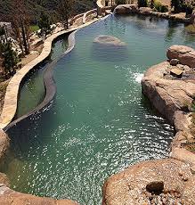 Maybe you would like to learn more about one of these? About Southern California Koi Pond Services Aquatic Gardens