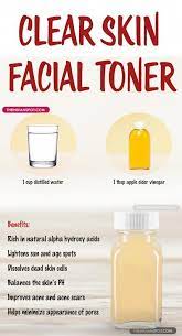 Top 5 Natural Homemade Skin Toner Recipes Food Blog Facial Toner Natural Skin Care Diy Skin