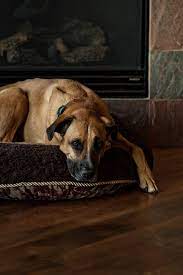 Maybe you would like to learn more about one of these? Meet Bailey Good Life Eats