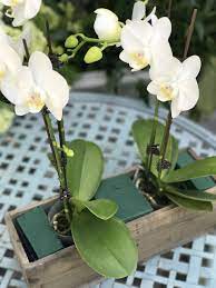 Diy Centerpiece With Step By Step Instructions Sanctuary Home Decor Flower Arrangements Wedding Floral Centerpieces Orchid Flower Arrangements