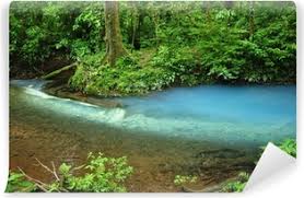 I recommend bringing a backpack that will fit your shoes along with a large plastic bag to put your shoes in. Poster Rio Celeste In Tenorio Volcano National Park Costa Rica Pixers Wir Leben Um Zu Verandern